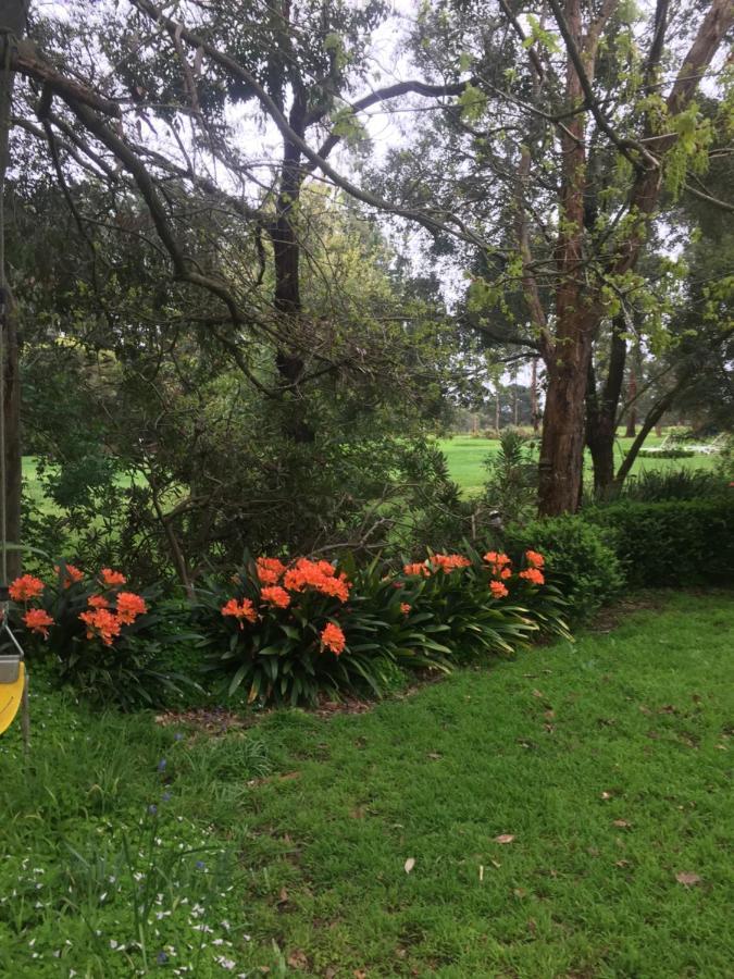 Sherwood Park Bed And Breakfast Somerville Bagian luar foto