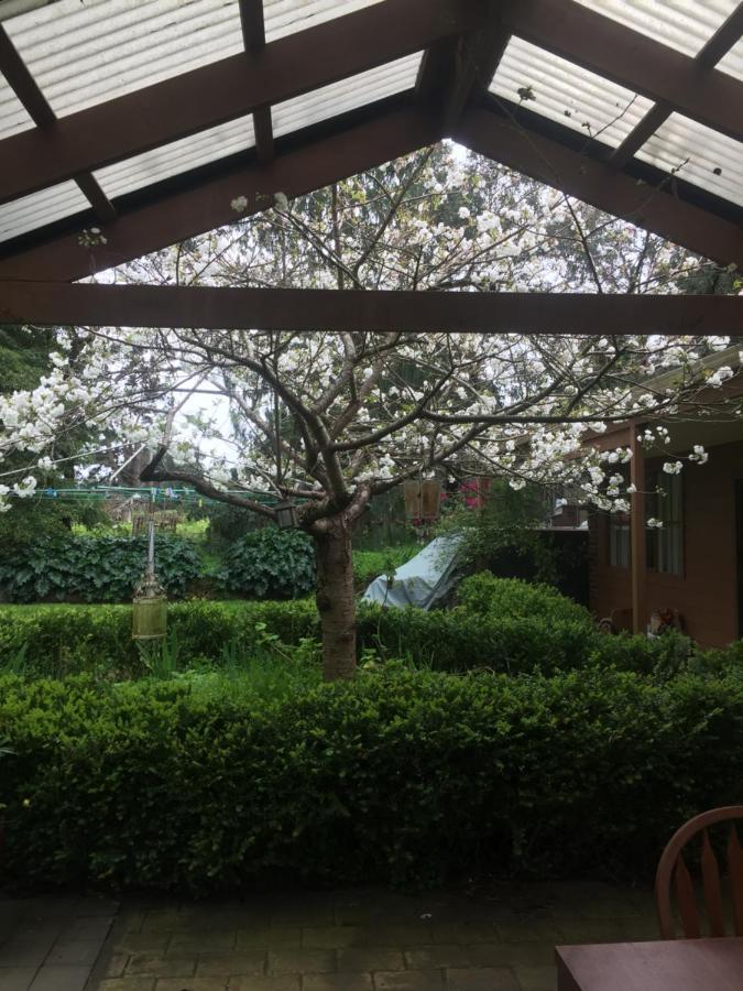 Sherwood Park Bed And Breakfast Somerville Bagian luar foto