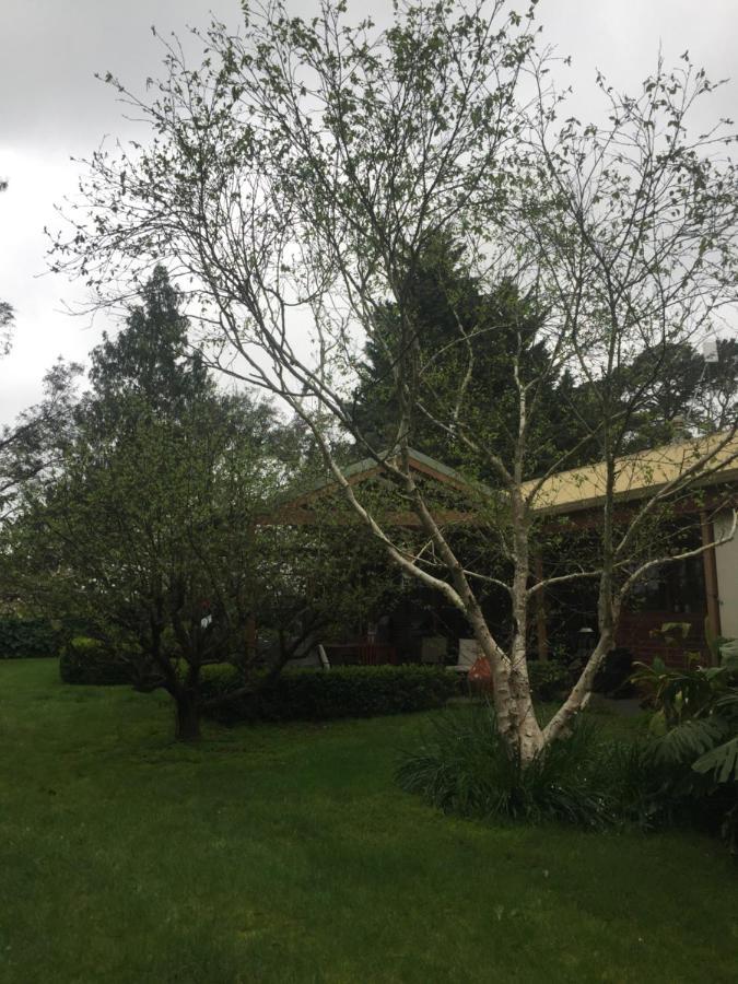 Sherwood Park Bed And Breakfast Somerville Bagian luar foto