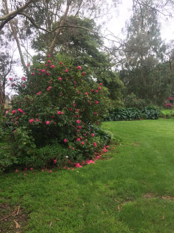 Sherwood Park Bed And Breakfast Somerville Bagian luar foto