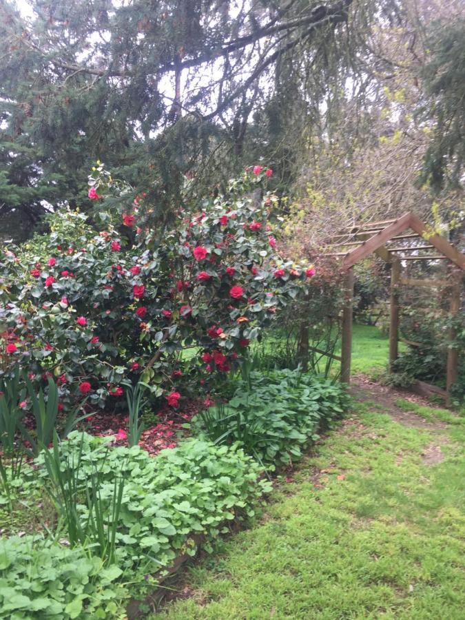 Sherwood Park Bed And Breakfast Somerville Bagian luar foto
