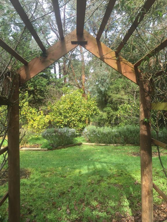 Sherwood Park Bed And Breakfast Somerville Bagian luar foto