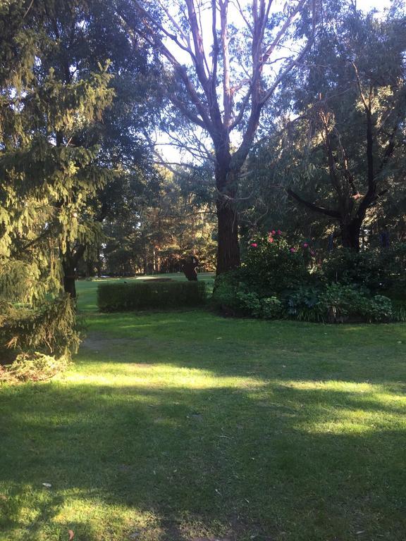 Sherwood Park Bed And Breakfast Somerville Bagian luar foto