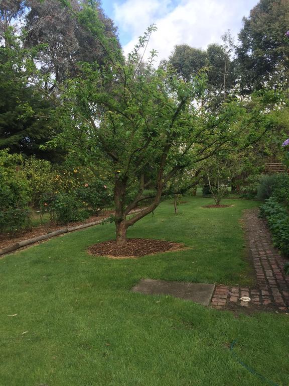 Sherwood Park Bed And Breakfast Somerville Bagian luar foto