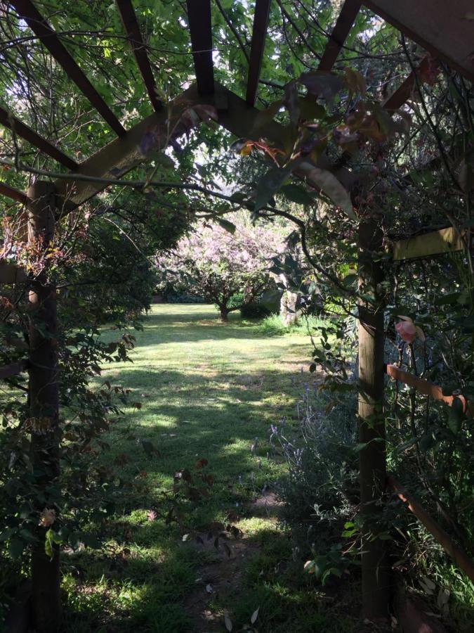 Sherwood Park Bed And Breakfast Somerville Bagian luar foto