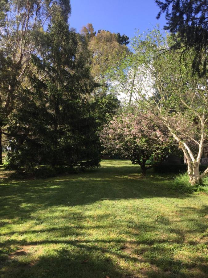 Sherwood Park Bed And Breakfast Somerville Bagian luar foto
