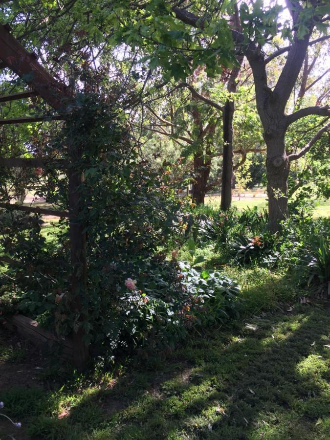 Sherwood Park Bed And Breakfast Somerville Bagian luar foto